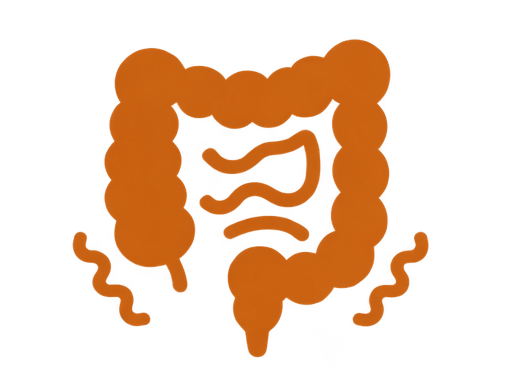 Icon Pencernaan